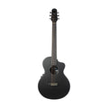 Litejam Neo Acoustic A1 Guitar