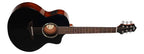 FUTRA SE (Black)